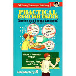 Practical English Usage Introductory B